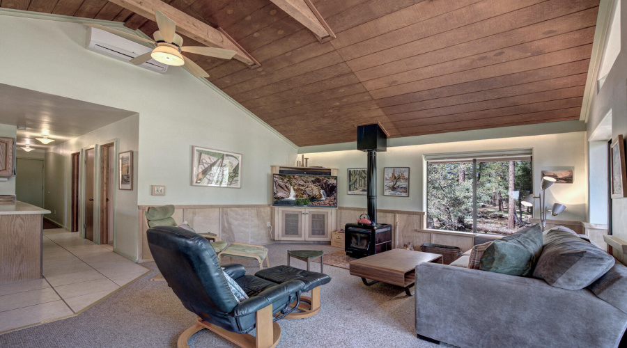 living room woodstove