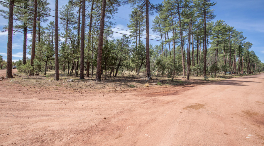 view from old pine trail
