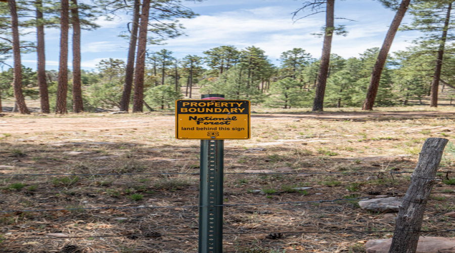 ntl forest sign