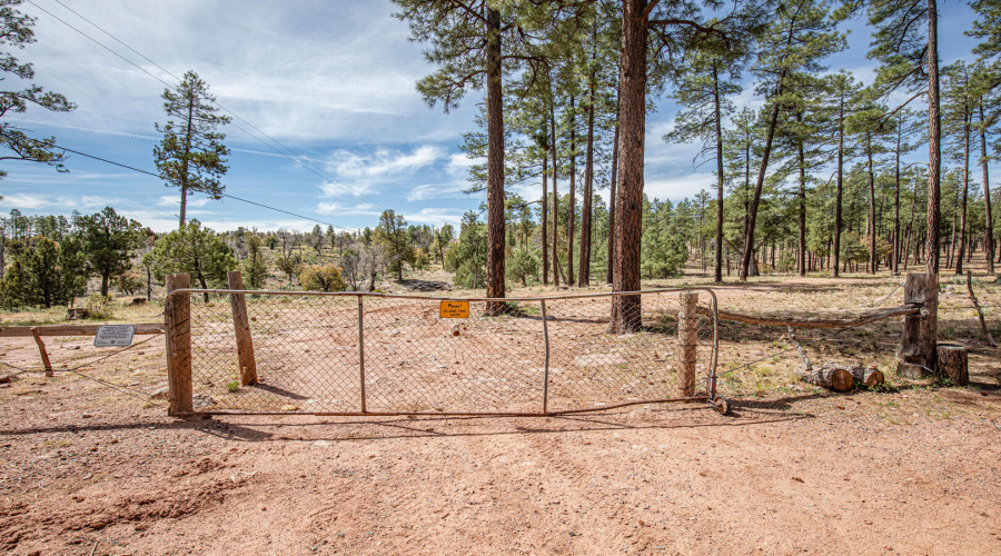 gate in to natl forest