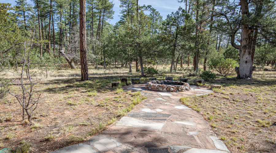 fire pit and flagstone