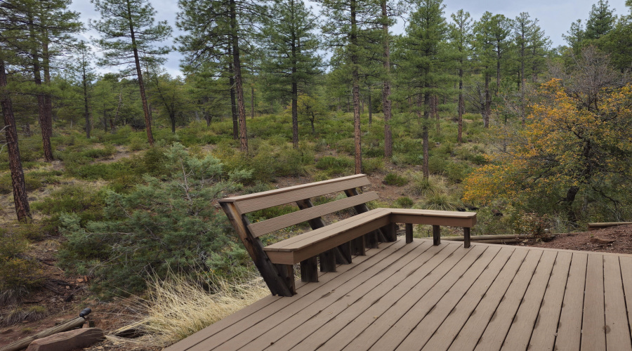 Back Deck Backing to Forest