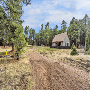 20-web-or-mls-Forest-04