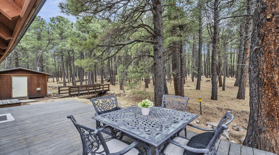 61-web-or-mls-Forest-45