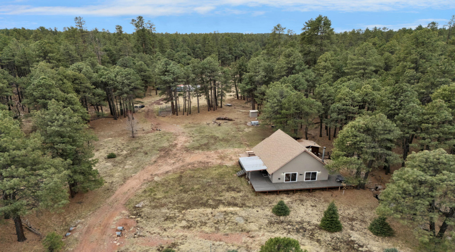 106-web-or-mls-Forest Drone-12