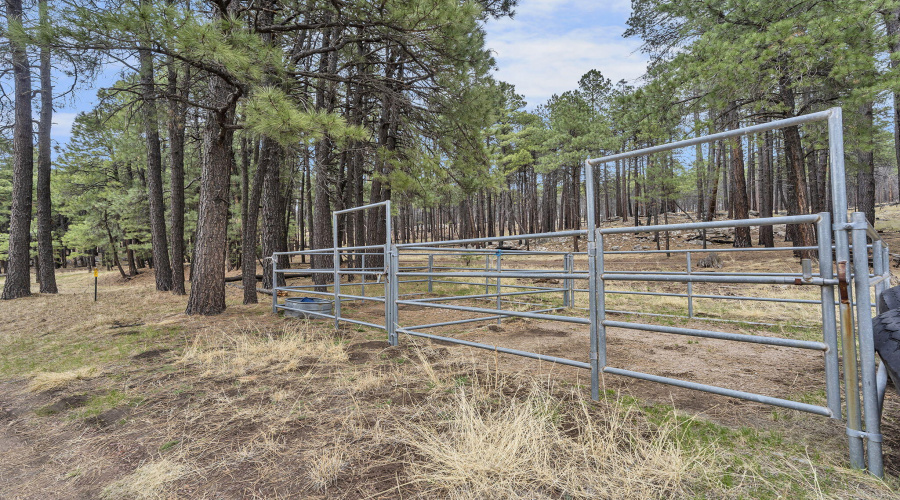 90-web-or-mls-Forest-74