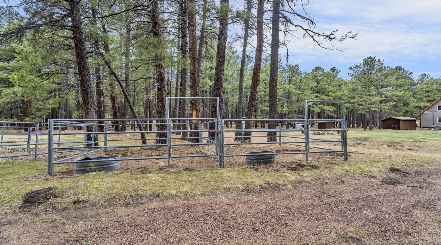 92-web-or-mls-Forest-76