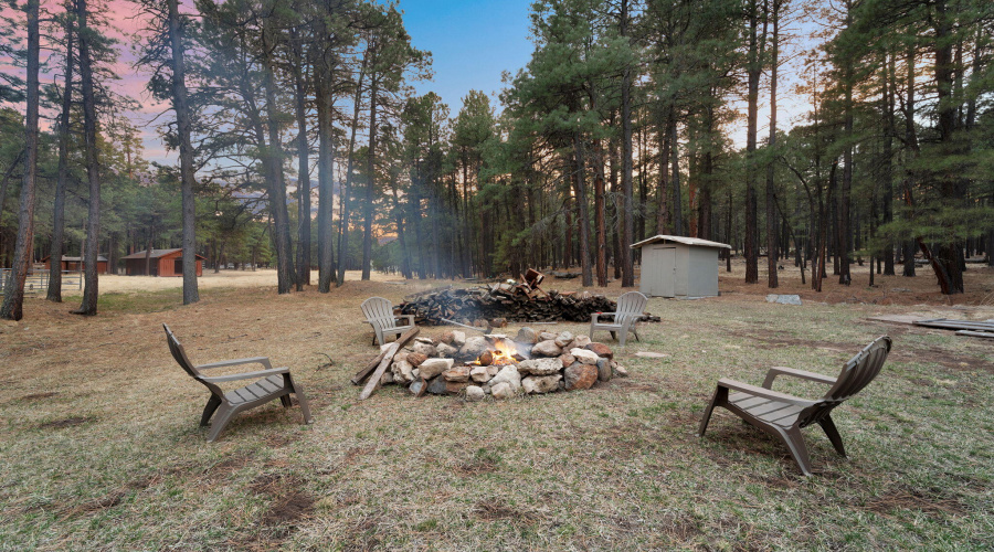 7-web-or-mls-Forest Twilight-07