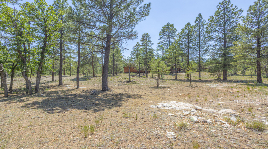 Lot 16