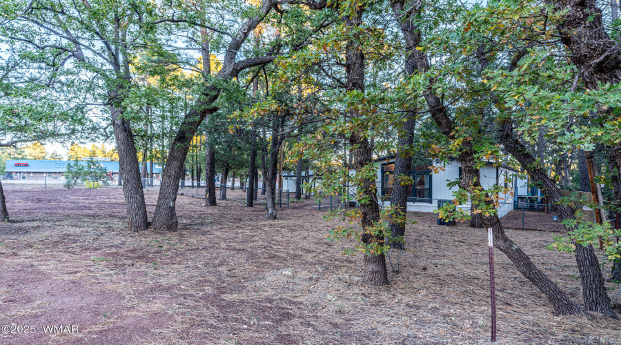 _DSC0858-HDR (1)