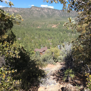 Hilltop-1