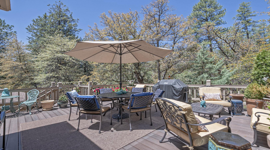 Back patio and Grill