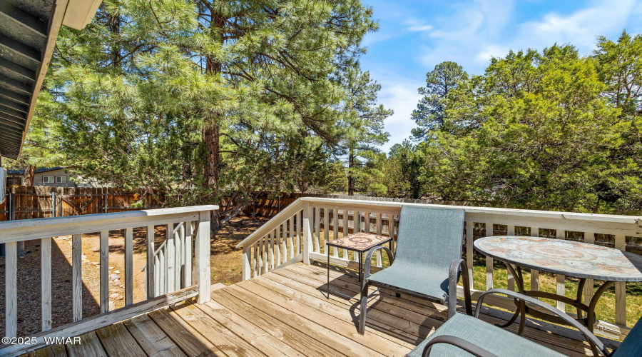 BACK DECK (SOUTH SIDE)
