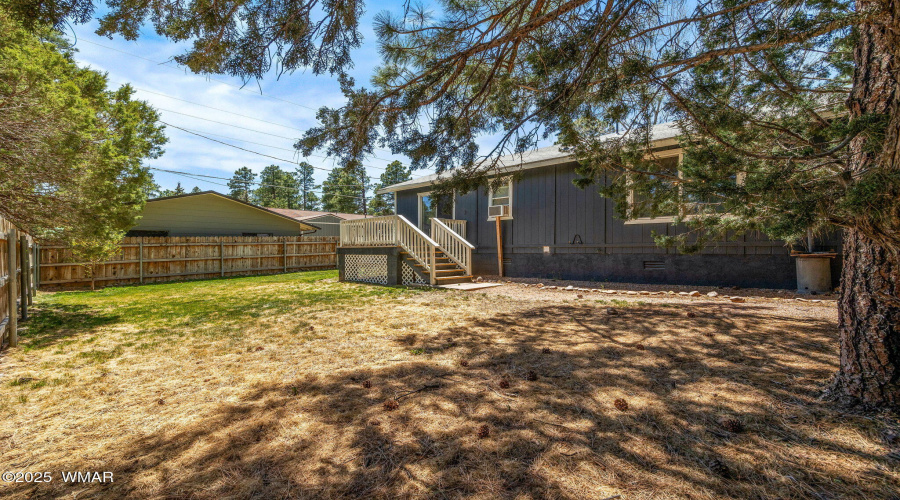 BACK YARD (EAST SIDE)