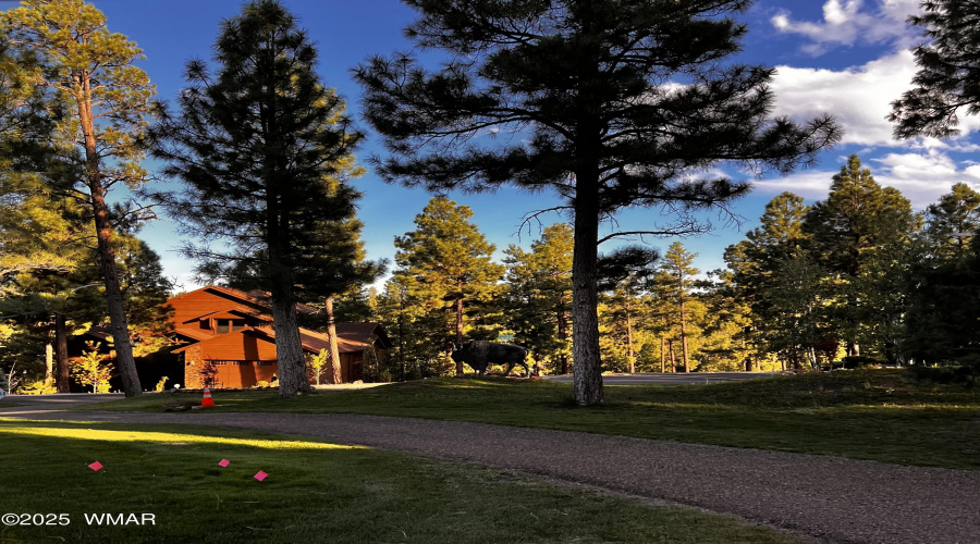 BISON GOLF CLUB