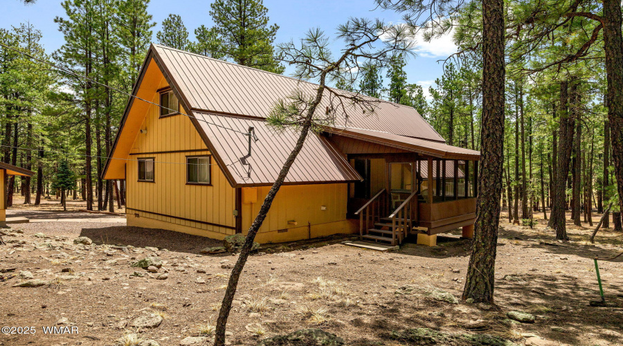 3TurkeyTrackDr-Alpine-AZ-23