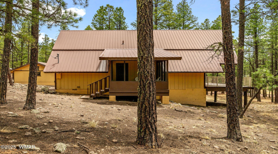 3TurkeyTrackDr-Alpine-AZ-24