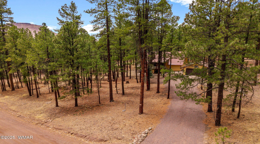 3TurkeyTrackDr-Alpine-AZ-28