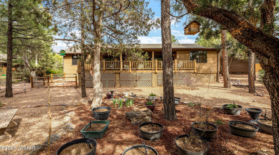 Back Planter Area