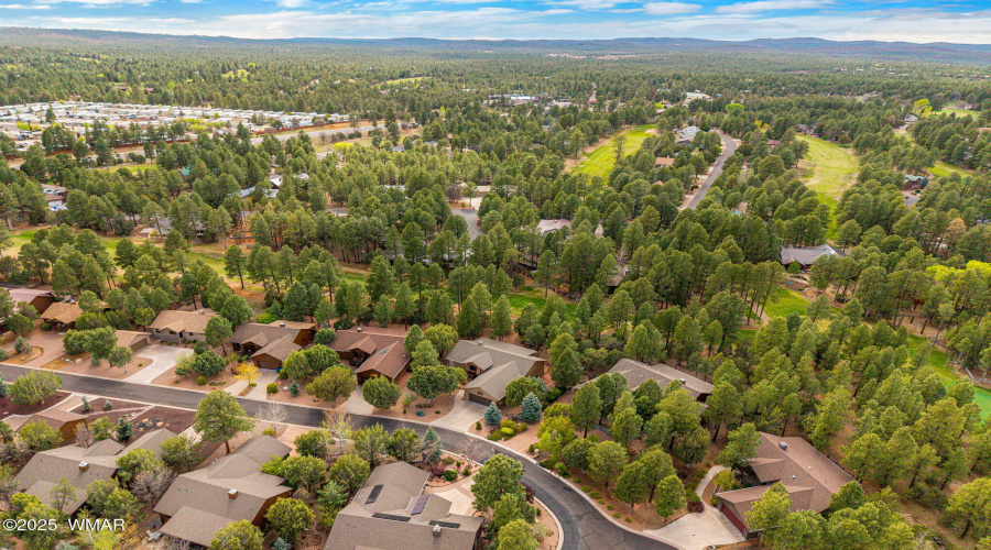 Drone Neighborhood