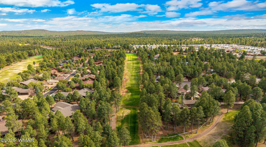 Drone Treed Area