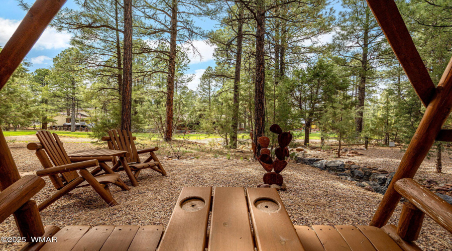 Back Firepit Area