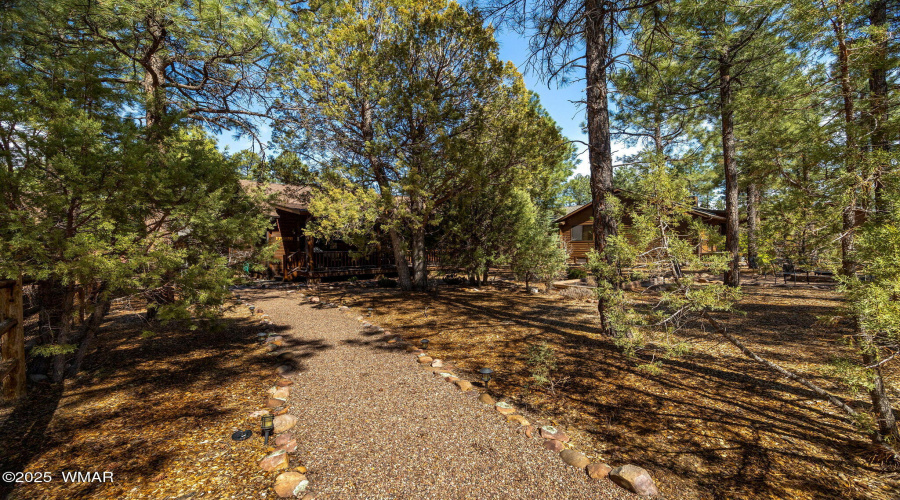 Walkway to Home