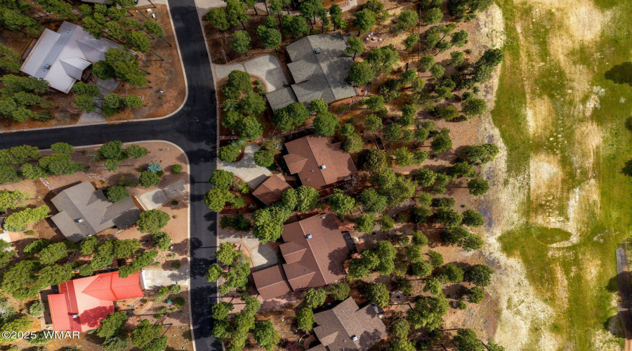 Aerial View Fairway & Neighbors