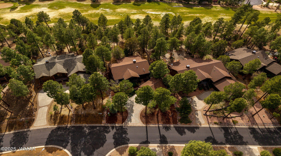Aerial View of Fairway &Neighbors