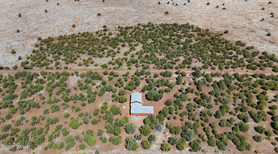 DJI_20250331112846_0005_D_(2000)