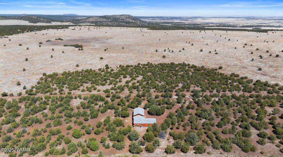 DJI_20250331112911_0006_D_(2000)