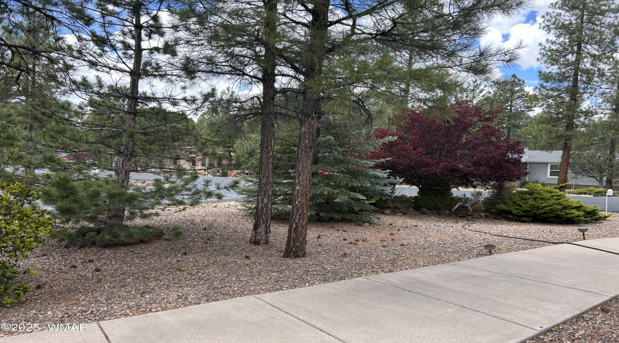 2081 side yard