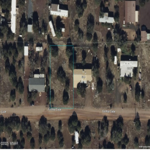 8442 Cochise Circle Aerial