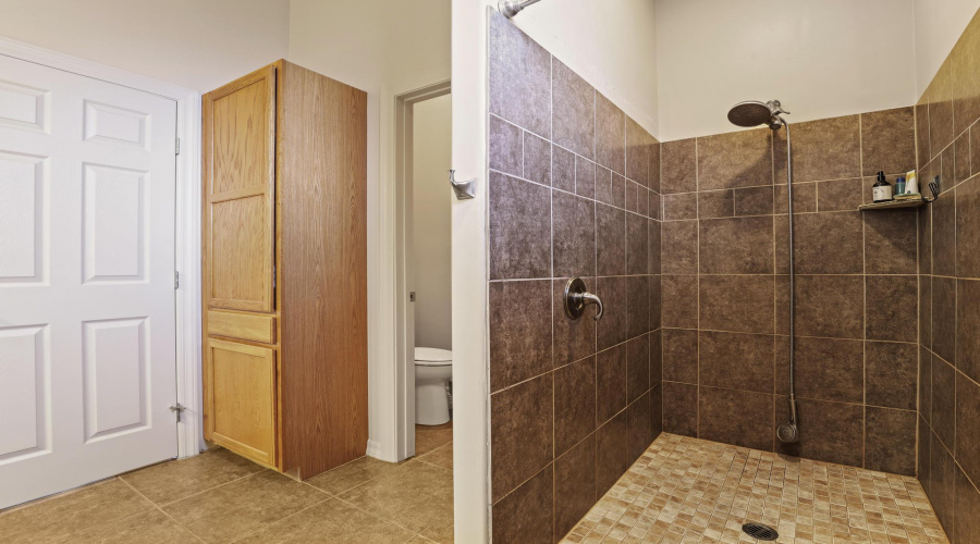 main shower 2