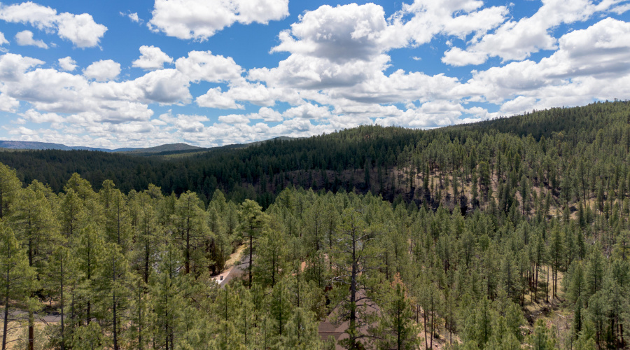 DJI_0565-HDR
