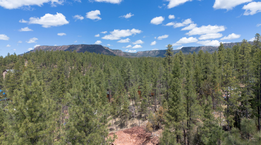 DJI_0607-HDR