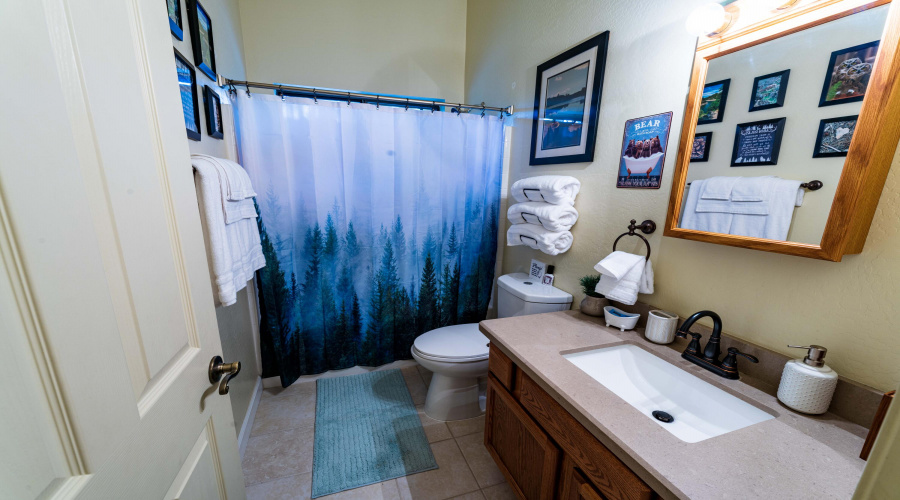 Guest Bath