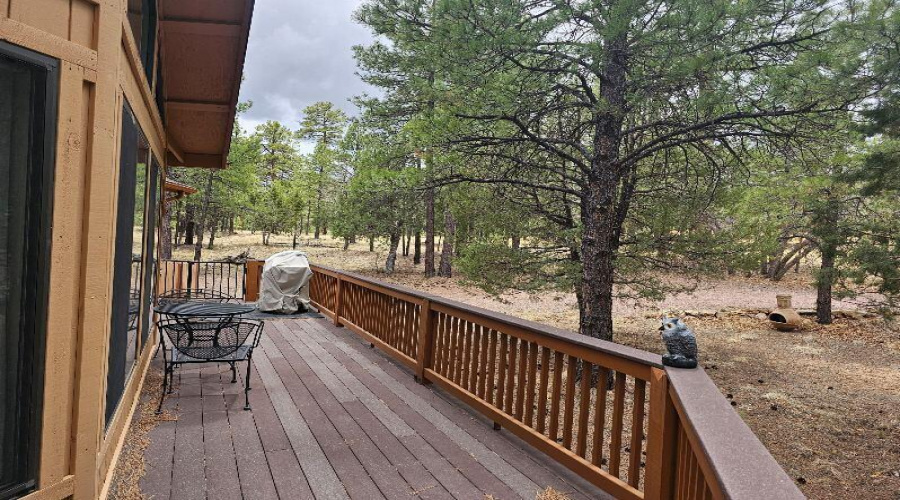 Large Deck
