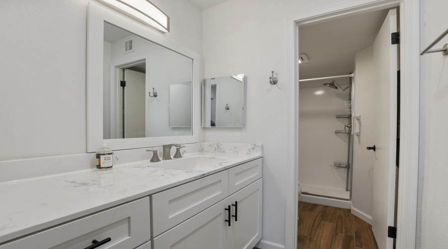 Master Bathroom (1)
