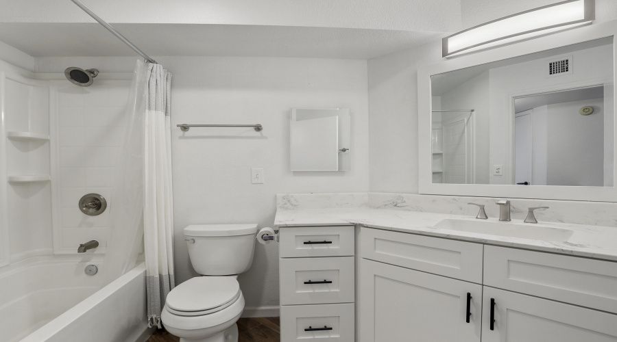 Guest Bathroom (1)