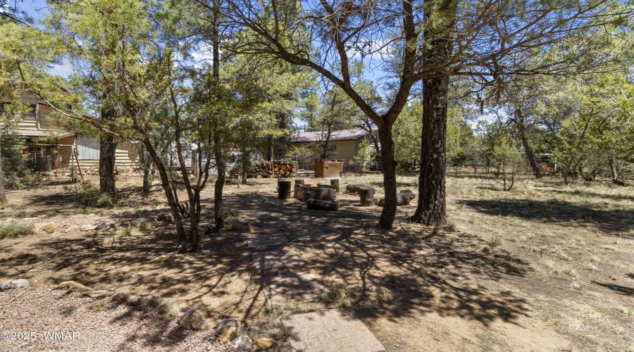 2128 Forest Park Rd, Overgaard (24)