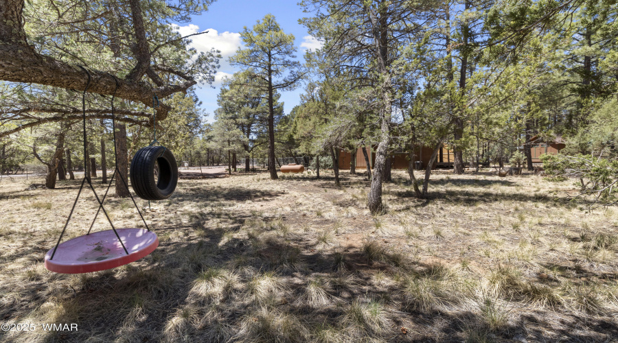 2128 Forest Park Rd, Overgaard (29)