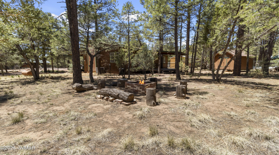 2128 Forest Park Rd, Overgaard (31)