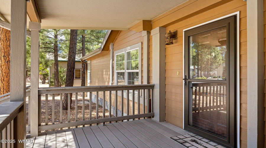 Storm Doors