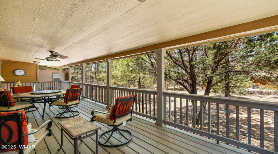 Spacious Back Deck
