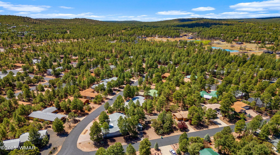 Nestled in the Pines
