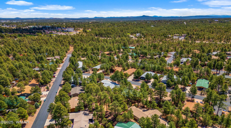 Home in the Pines