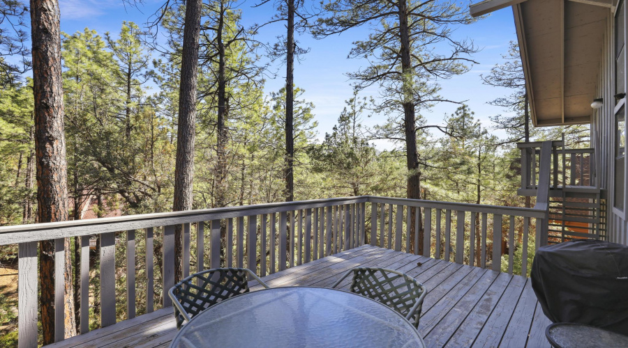 Back Deck