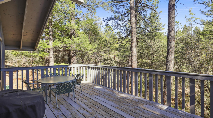 Back Deck
