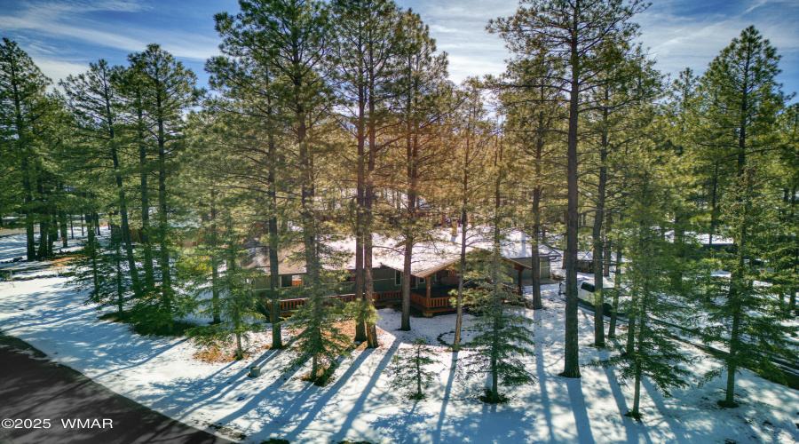 Paxmanphoto_DJI_20250317094053_0054_D